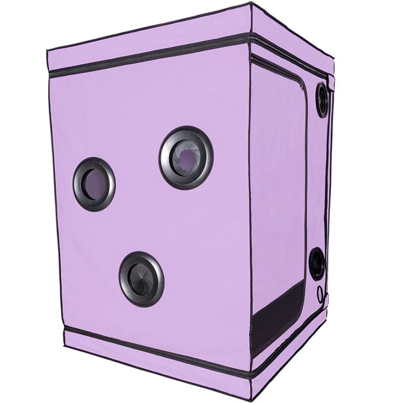 SECRET DOME Kink Club Scandale Purple, cabina BDSM