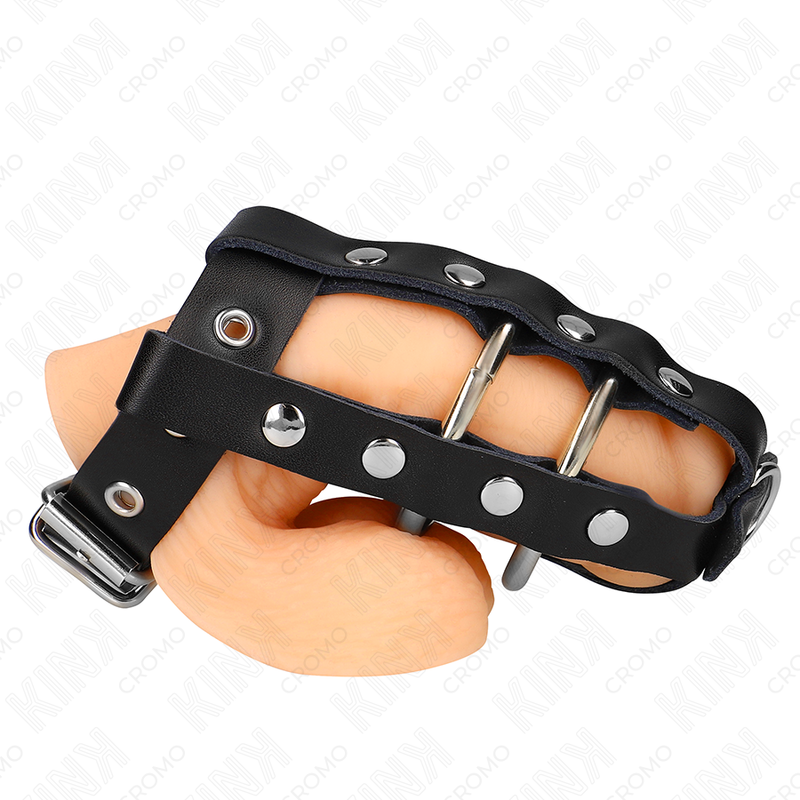 Jaula para el pene ajustable con candado KINK RING POWER