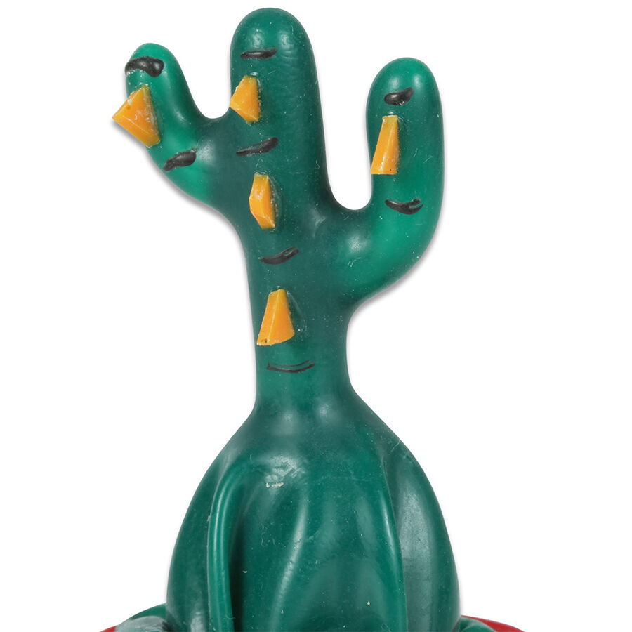 CONDOMERIE Cactus, divertido regalo erótico