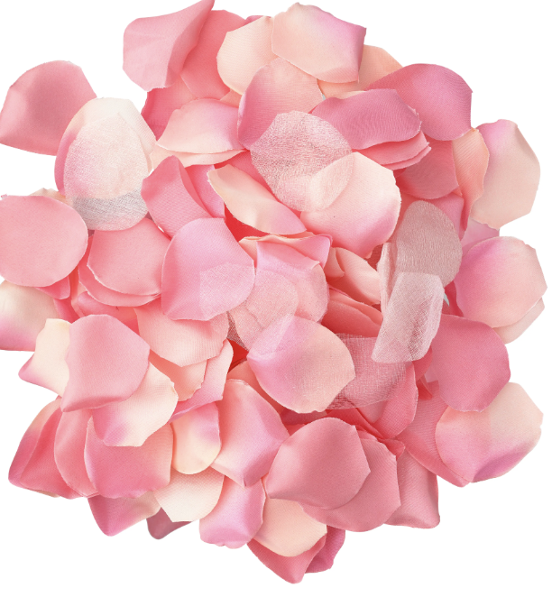 DIABLO PICANTE 100 pétalos rosas