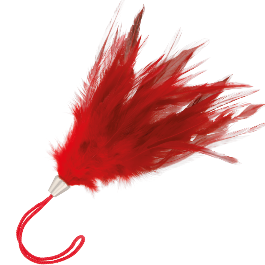 Boa de plumas roja DARKNESS SENSATIONS